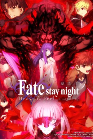 Fate/stay night (Heaven’s Feel) II. Cánh bướm lạc đường